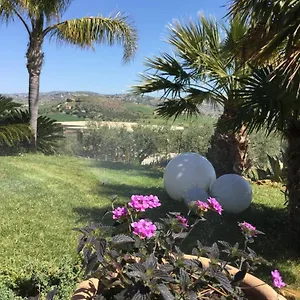 Bed & Breakfast Il Colle Del Rustico **