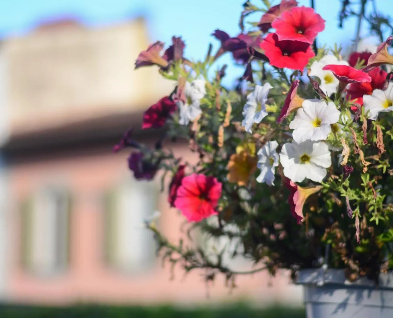 Villa Gelsomino Garden Florence