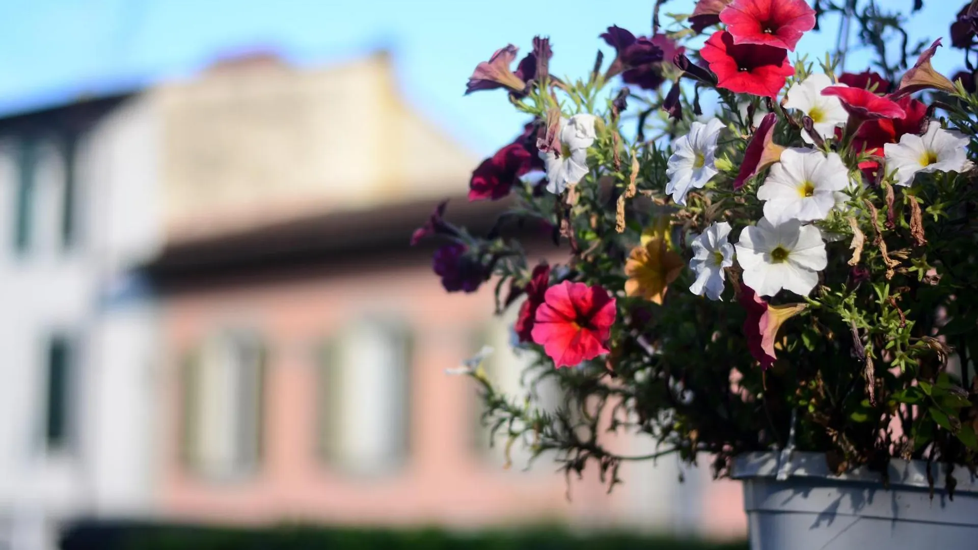 Hotel Gelsomino Garden Florenz 2*,  Italien
